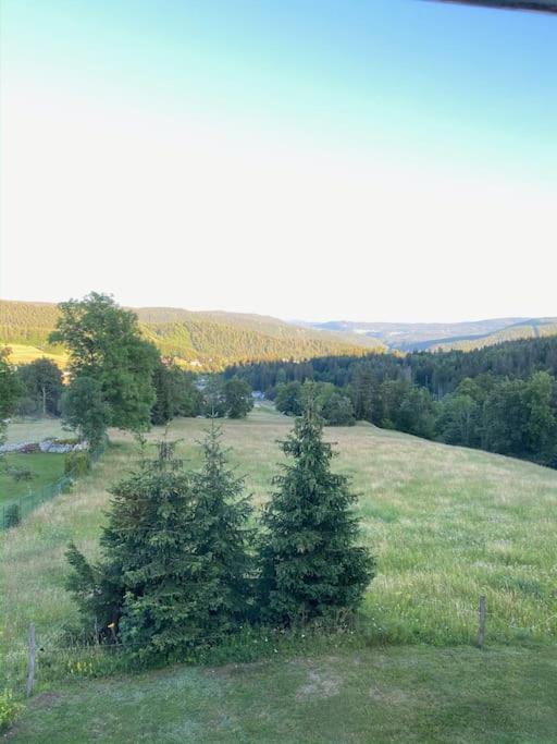 Appartement Lumineux Avec Vue Sur Les Montagnes Morbier Eksteriør billede