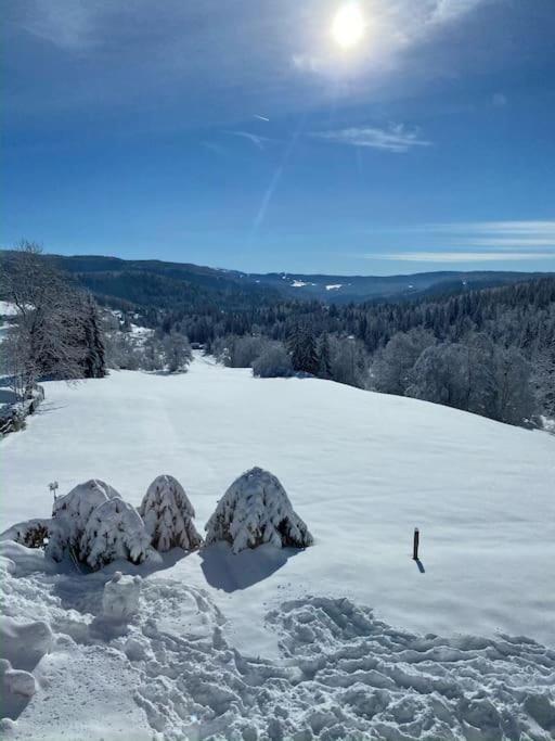Appartement Lumineux Avec Vue Sur Les Montagnes Morbier Eksteriør billede