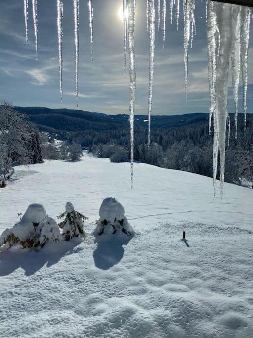 Appartement Lumineux Avec Vue Sur Les Montagnes Morbier Eksteriør billede